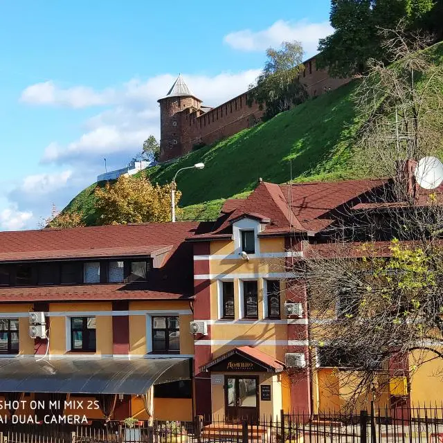 Реальные фото Домино