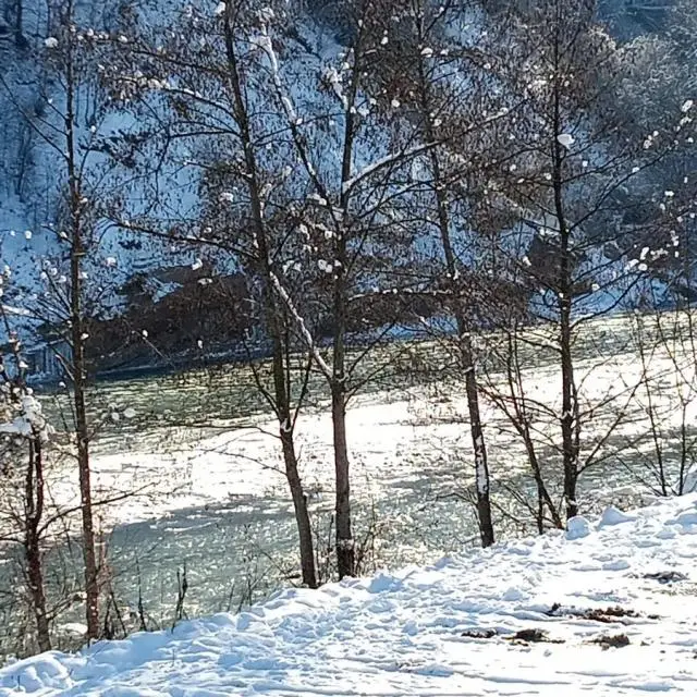 Реальные фото Отдых у реки