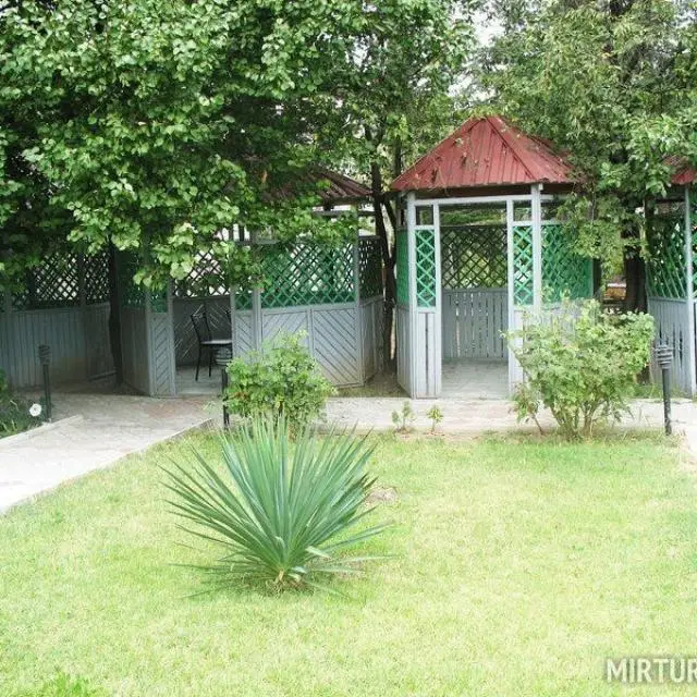 Реальные фото Изабелла