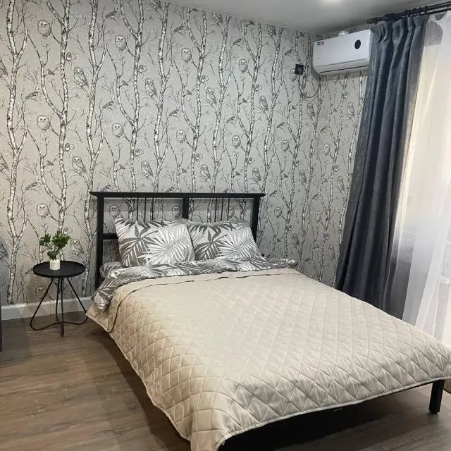 Реальные фото Апартаменты на улице Бородинская 20