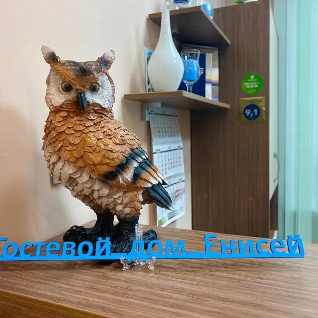 Реальные фото Енисей