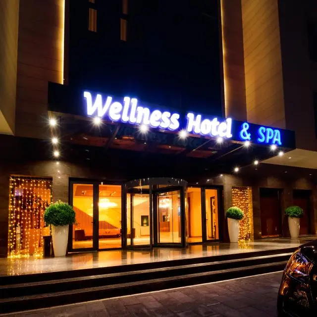 Реальные фото Wellness Hotel and Spa (Велнесс)