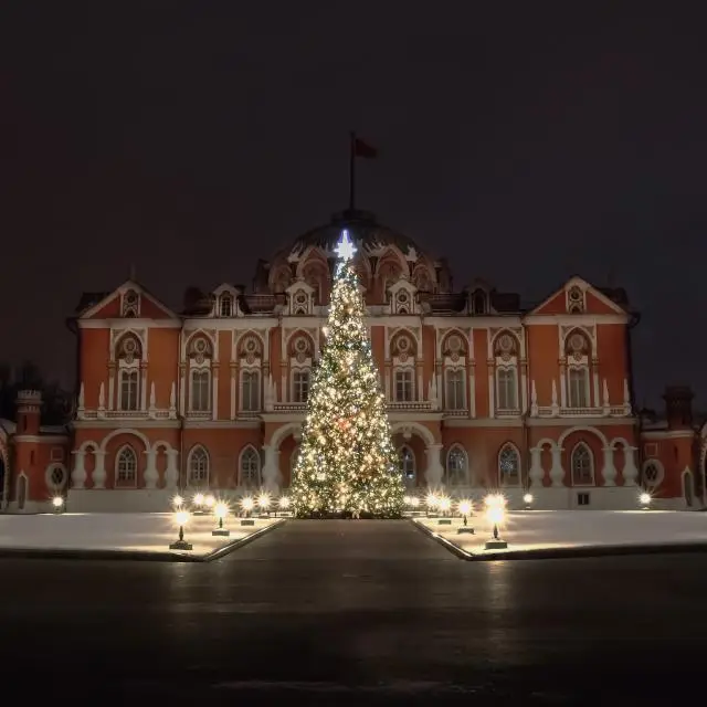 Реальные фото Петровский Путевой Дворец