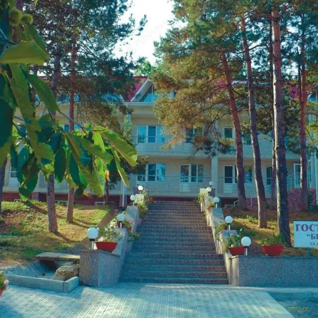 Реальные фото Березка