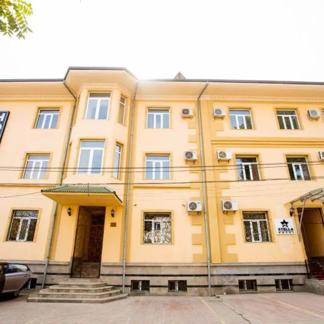 Реальные фото Stella (Стелла)
