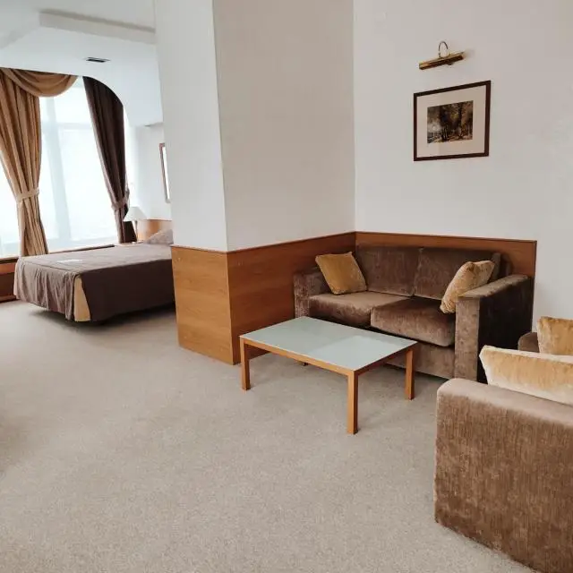Реальные фото Airhotel Moscow Domodedovo ZONT Hotel Group (Аэротель Москва Домодедово)