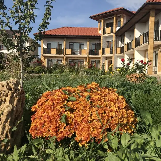 Реальные фото Маалле