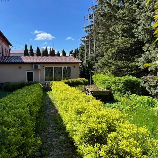 Реальные фото Агата