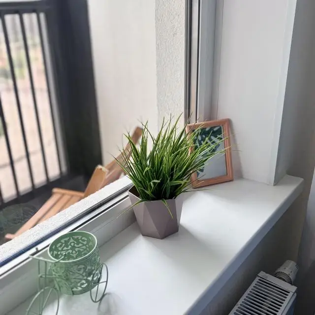 Реальные фото Tina Rental Studio