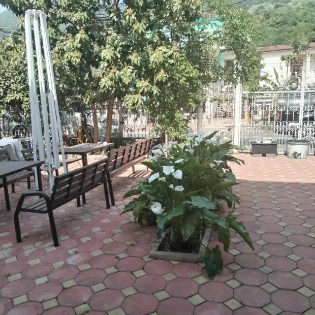 Реальные фото Зеленый дворик