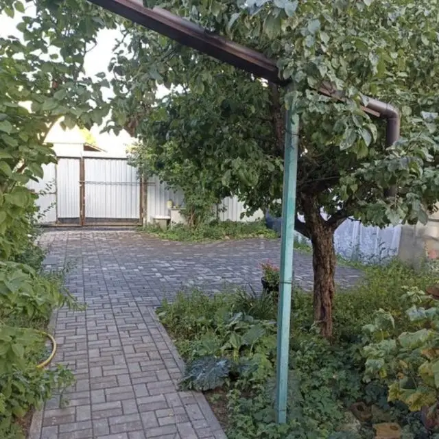 Реальные фото Интеркруг