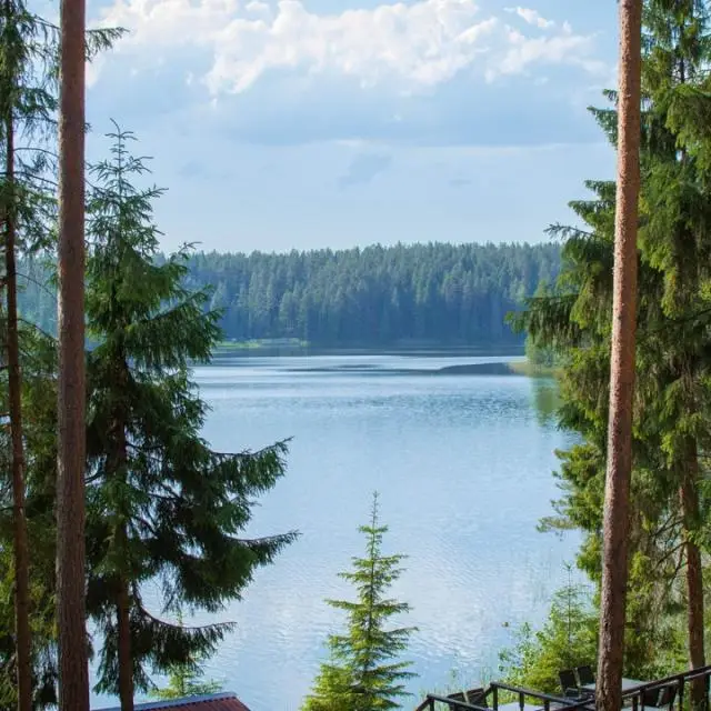 Реальные фото Берендеево царство