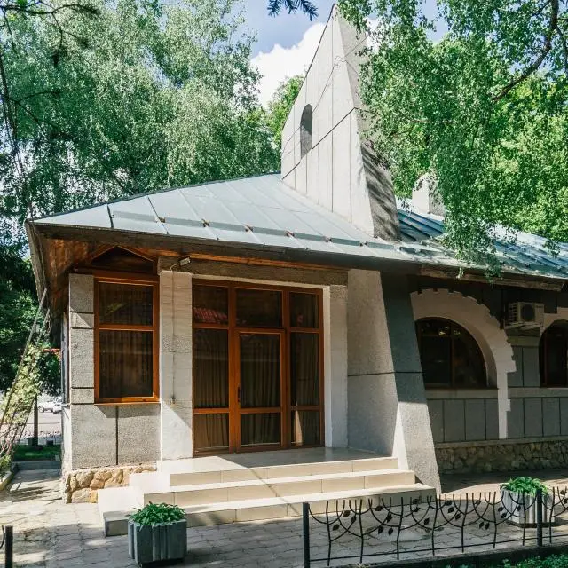 Реальные фото Лесная поляна