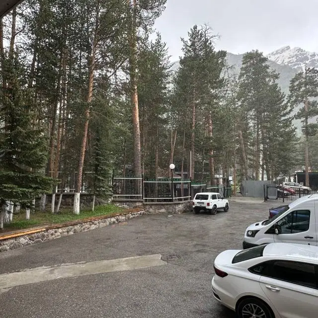 Реальные фото Вольфрам