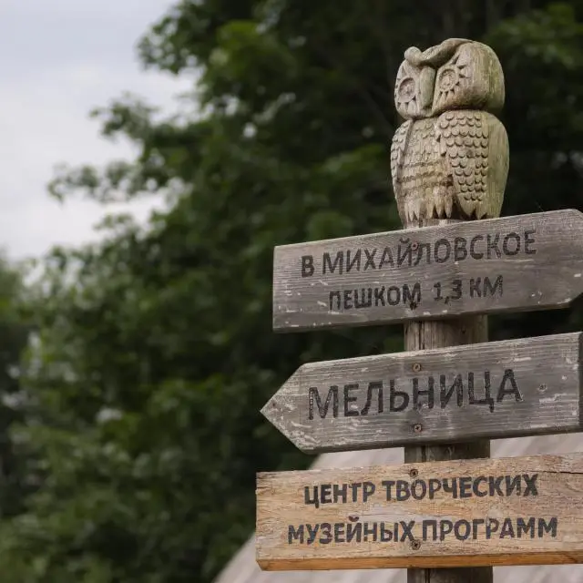 Реальные фото Мятный сад