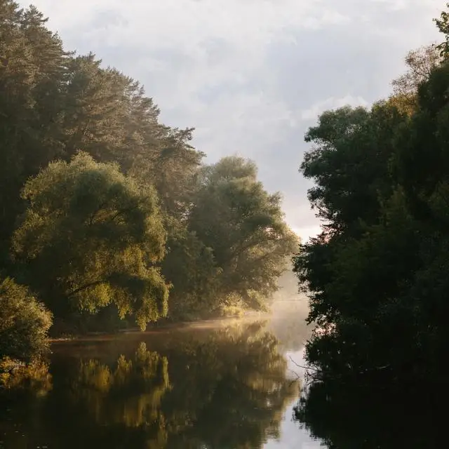 Реальные фото Загородный отель Pine River (Пайн Ривер)