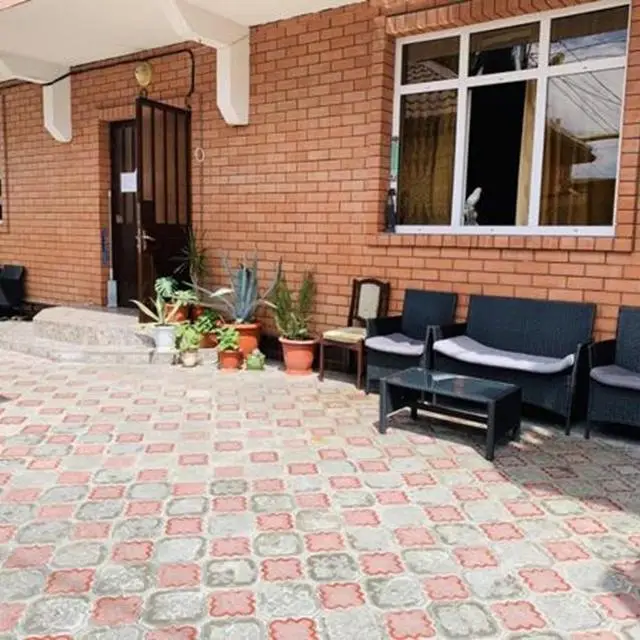 Реальные фото Алгор