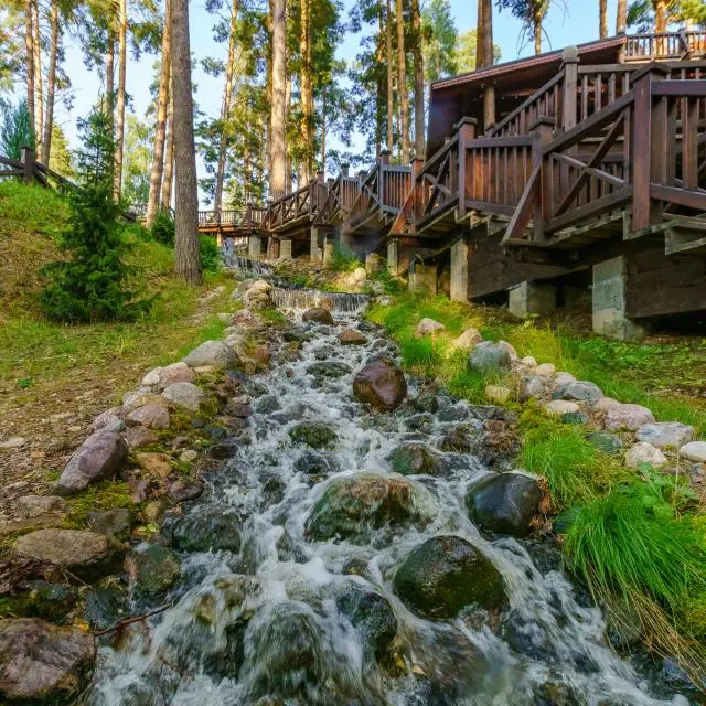 Реальные фото Оленьи пруды