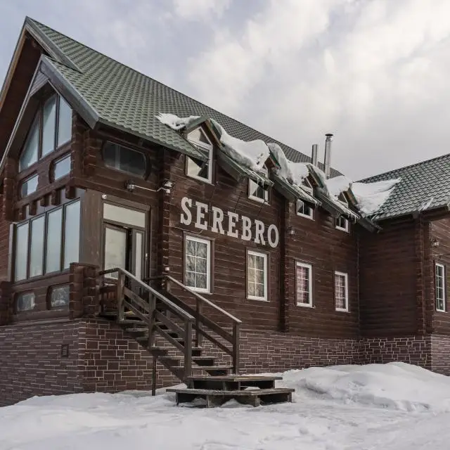 Реальные фото Серебро