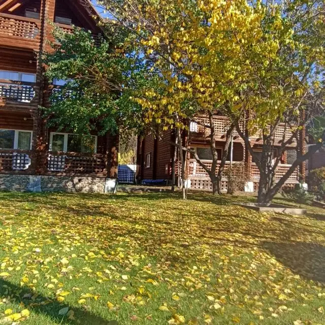 Реальные фото База отдыха Феникс