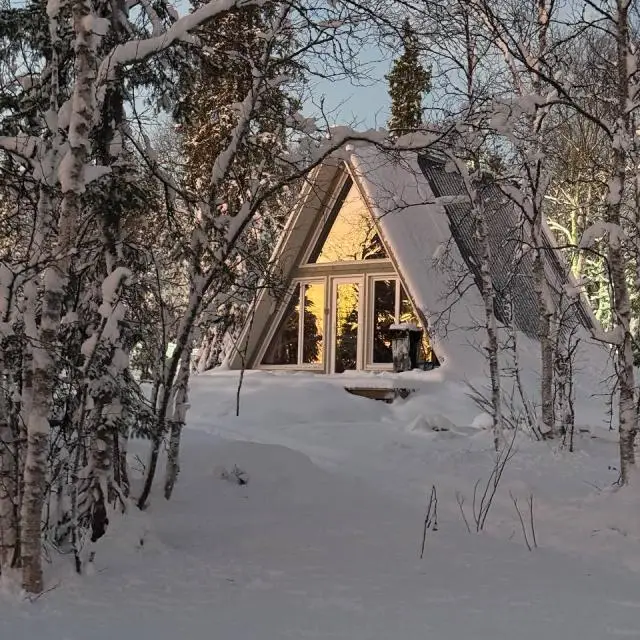 Реальные фото Husky Camp (Хаски Кэмп)
