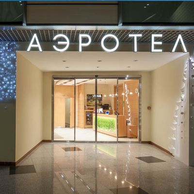 Airhotel Express Domodedovo ZONT Hotel Group (Аэротель Экспресс Домодедово)