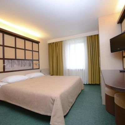 Airhotel Moscow Domodedovo ZONT Hotel Group (Аэротель Москва Домодедово)