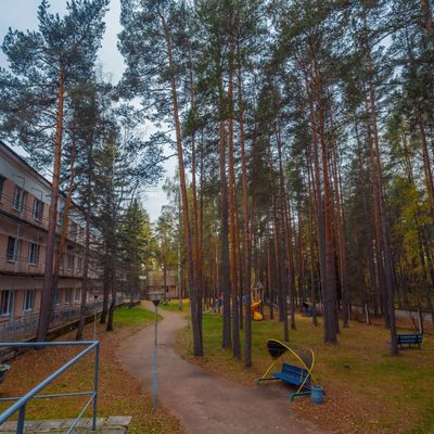 Дом отдыха и творчества Комарово